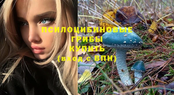 винт Белокуриха